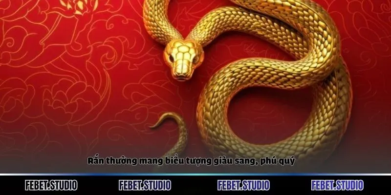 Rắn thường mang biểu tượng giàu sang, phú quý